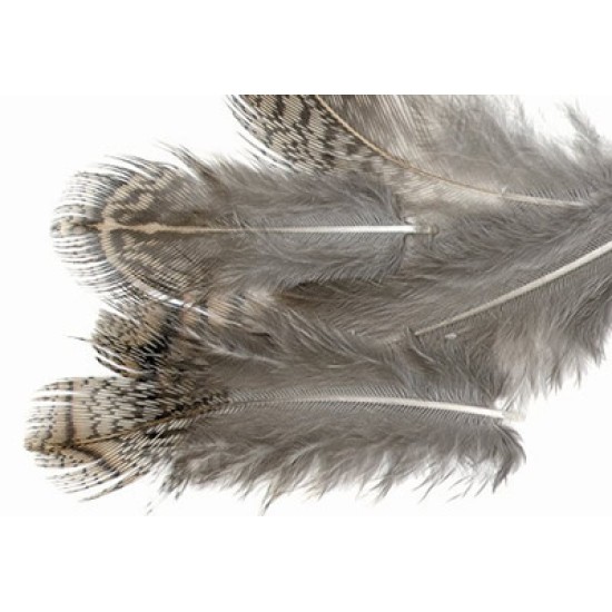 English Partridge Brown Back Hackles For Fly Tying Troutflies UK